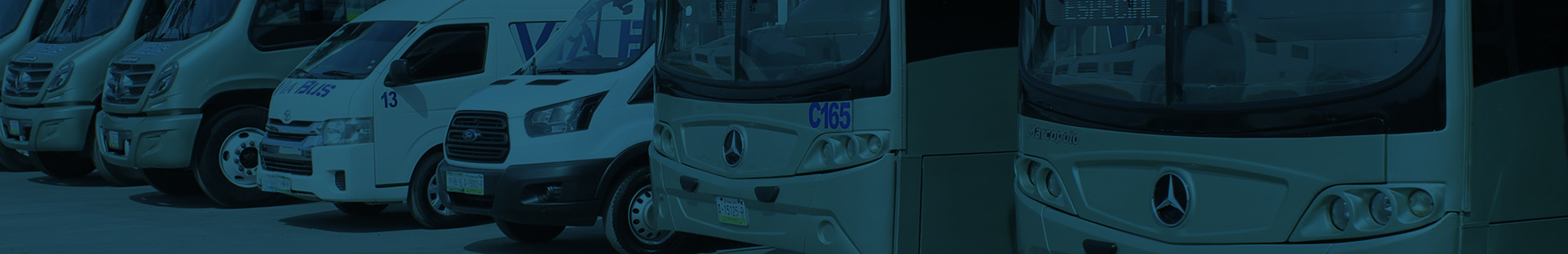viabus-servicios-bg
